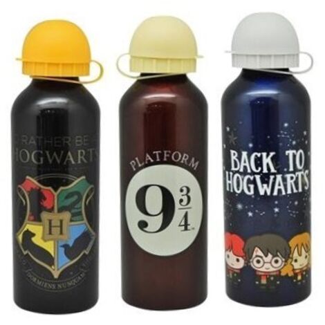 Bouteille en aluminium Harry Potter Kids Euroswan 500 ml (1/4)