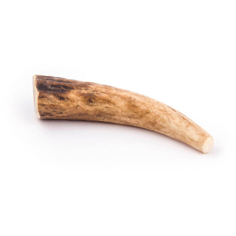 Jouet à mâcher en bois de cerf R-Line 4DOGS taille S dur (1/5)