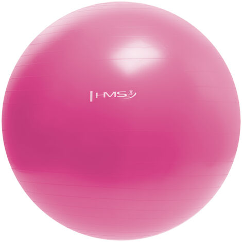 YB01 NOUVEAU BALLON DE GYMNASTIQUE ROSE 55CM HMS