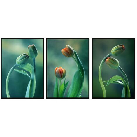 Tableau encadré 53x73cm Triptyque Ensemble de 3 tableaux Tulipes Fleurs Herbe P2002 (1/3)