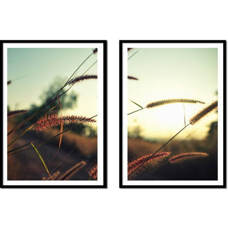 AFFICHES PHOTOS ENCADRÉES 53x73cm Diptyque Lot de 2 tableaux Graminées Boho P2176 (1/3)
