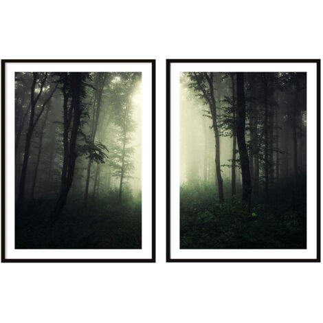 AFFICHES PEINTURE ENCADRÉES 53x73cm Diptyque Lot de 2 tableaux Forêt Sombre P2087 (1/3)