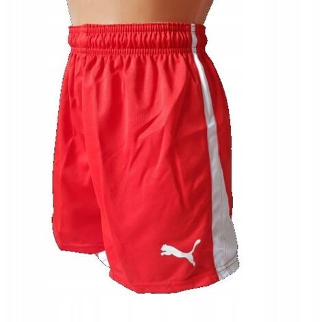 G1761 PUMA V5.06 SHORT DE HANDBALL FEMME S (1/4)