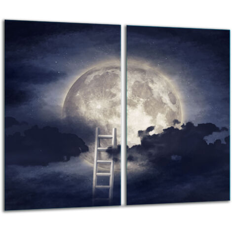 Planche à découper en verre 2x 30x52 lune (1/5)