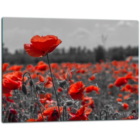 Planche dcouper de plaque de verre 52x40 Fleurs (1/5)