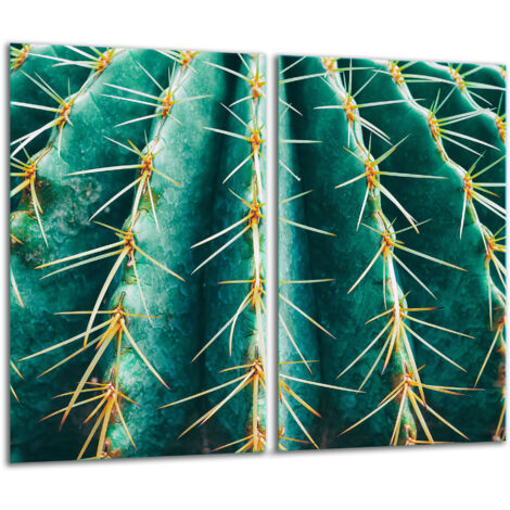 Planche à découper en verre 2x 30x52 cactus (1/5)