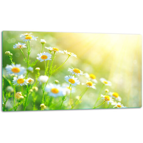 Planche dcouper de plaque de verre 52x30 fleurs (1/5)
