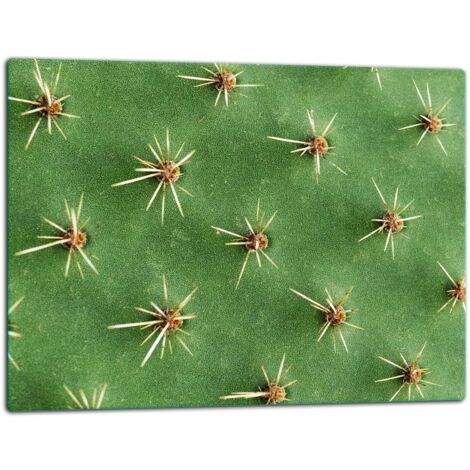 Planche  dcouper  plaque de verre 52x40 cactus (1/5)