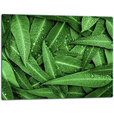 Planche  dcouper  plaque de verre 52x40 vert (1/5)