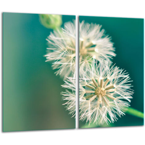 Planche à découper en verre 2x 30x52 fleurs (1/5)