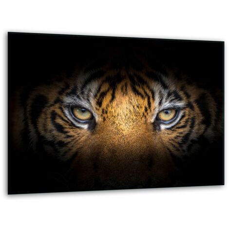 Tableau de hachage en verre 40x30 Tiger (1/5)