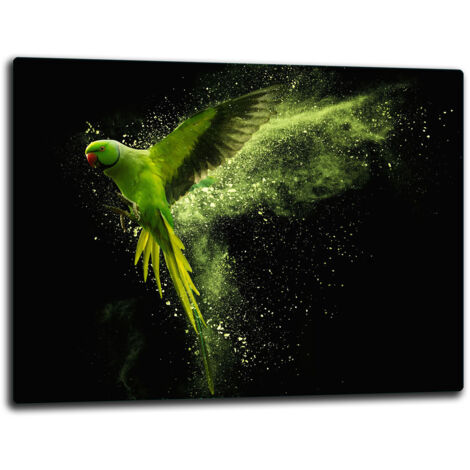 Panneau  hachage en verre 52x40 Parrot (1/5)