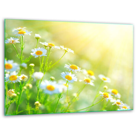Tableau de coupe en verre Stand 40x30 Fleurs