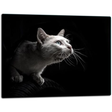 Planche  dcouper  plaque de verre 52x40 Cat (1/5)