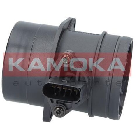 Débitmètre 18029 Kamoka (1/4)