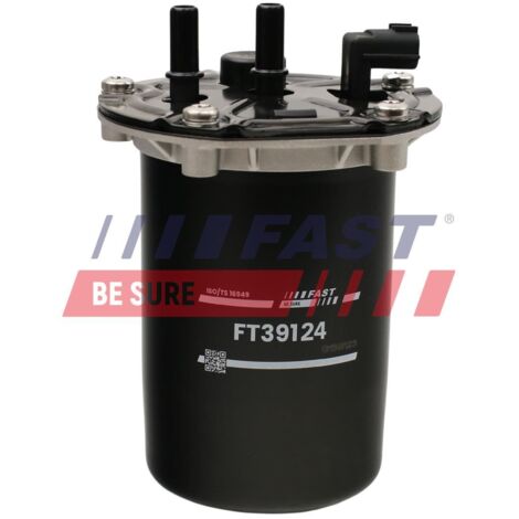 Filtre à carburant FT39124 rapide (1/4)