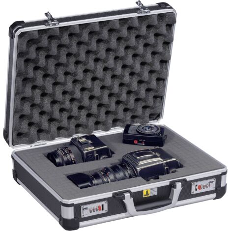 Valise avec rembourrage en mousse - 430x350x140 mm (1/3)