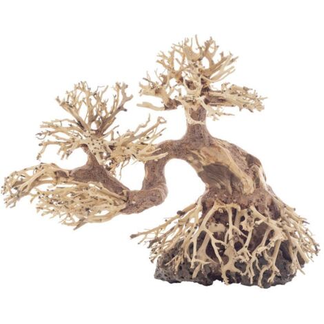 PROGROW BONSAÏ BT6XL 40X15X30CM