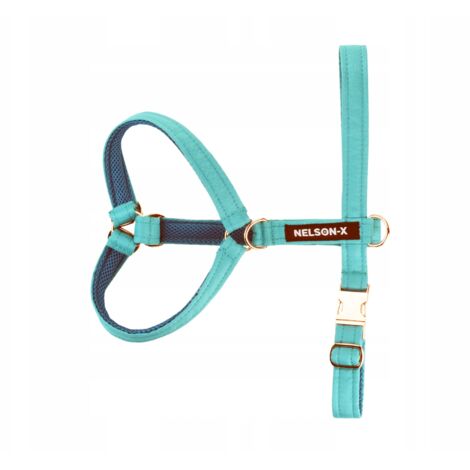 HARNAIS POUR CHIEN DE GARDE NELSON-X GOLDIE TAILLE XL FIXATIONS DORÉ FABRICATION POLONAISE (1/5)