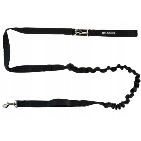 LAISSE AVEC ABSORBEUR DE CHOCS POUR PETITS CHIENS 2M NELSON-X (1/5)