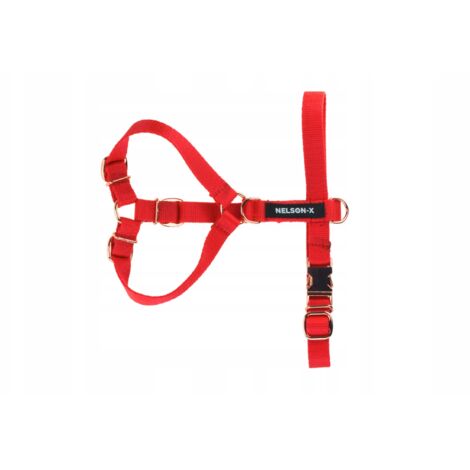 HARNAIS POUR CHIEN NELSON-X BASIC GOLDIE, FIXATIONS DORÉ, TAILLE L, FABRICANT POLONAIS (1/5)