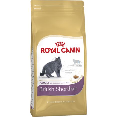 Royal Canin British Shorthair Chat adulte nourriture sèche 4 kg (1/2)
