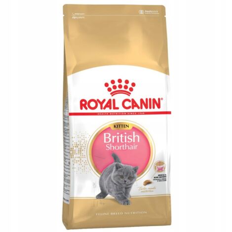 Royal Canin British Shorthair Kitten nourriture sèche pour chats 2 kg Volaille, Riz, Légumes