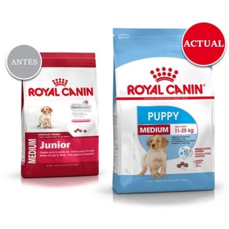 Royal Canin – Croquettes pour chiens Medium Junior 15 kg – Nutrition équilibrée pour chiots jusqu'à 12 mois – Protéines 32 % – Énergie 4109 kcal/kg