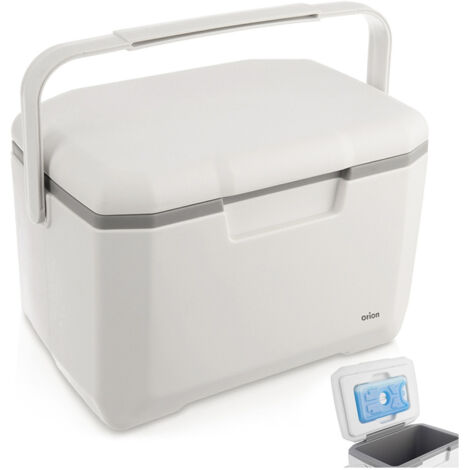 Glacière portable touristique avec pain de glace pour la plage, petit modèle 5 L