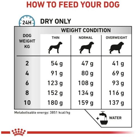 Croquettes hypoallergéniques pour petits chiens 3 kg – Sans gluten – Viande – Allergie alimentaire – Royal Canin