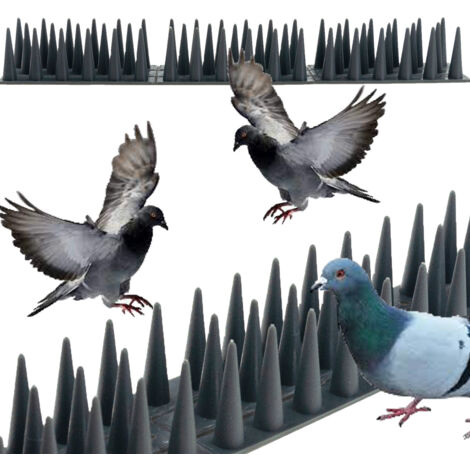 TG71387-2 Picots pour pigeons et petits animaux (1 pièce). Picots pour chats et martres. (1/5)