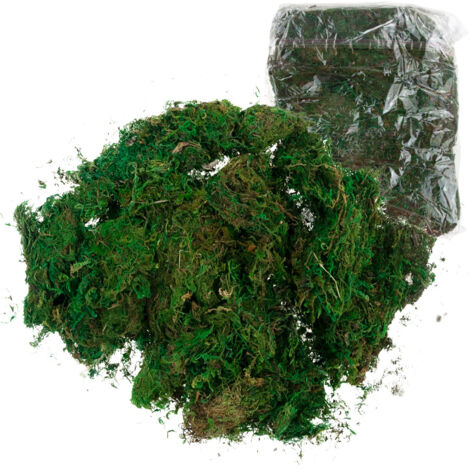 TG70316 MOUSSE ARTIFICIELLE 1 kg EN VRAC DÉCORATIVE POUR COURONNES VERTE RÉSISTANTE (1/5)