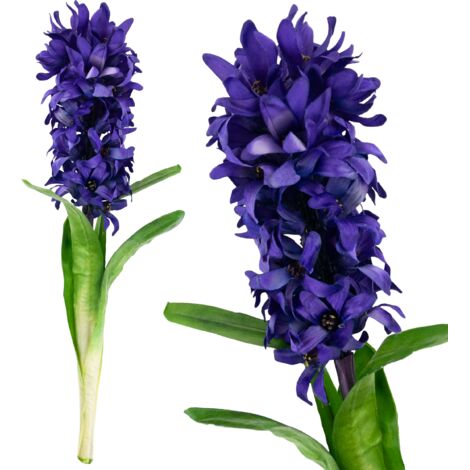 CV34985-3 JACINTHE SIMPLE (1/5)