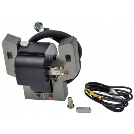 Bobine d'allumage Briggs 5 HP 397358 (1/5)