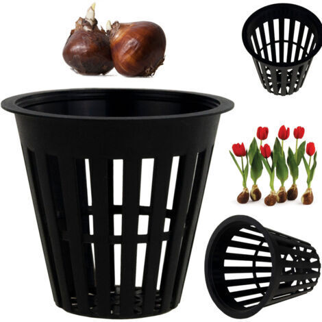 TG64624 COUVERCLE DE PANIER POUR BULBES 5 x 5,5 cm (1/5)