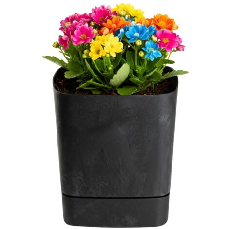 Pot de fleurs CUBI avec soucoupe, béton noir recyclé, 19 x 19 cm (1/5)