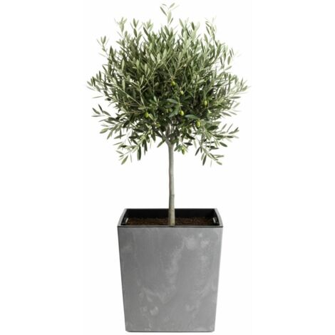 Pot de fleurs Flore en béton gris h41x39,5x39,5 cm (1/5)