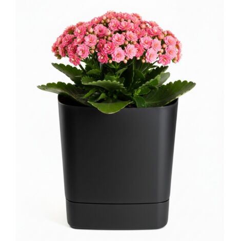 Pot de fleurs recyclable CUBI avec soucoupe, noir, 19 x 19 cm (1/5)