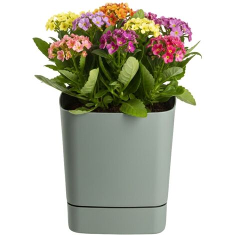 Pot de fleurs recyclable CUBI avec soucoupe, gris-vert, 25 x 25 cm (1/5)