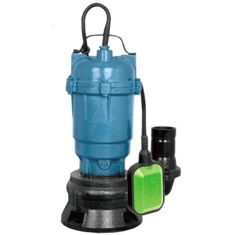Pompe Ă eau 2850W 2" 30000l/h + FLOTTEUR WDS2422 (1/5)