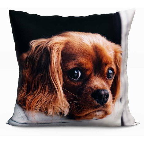 Coussin en microfibre multicolore pour chien avec motifs d'animaux 40x40 cm (1/2)