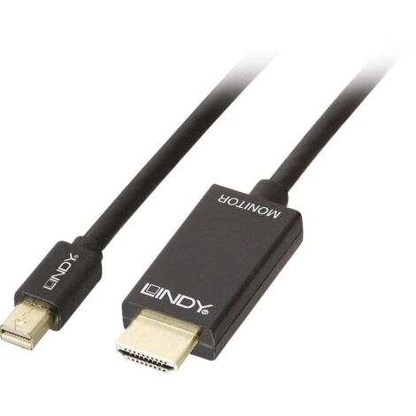 Câble Lindy Mini DisplayPort/HDMI 4K30 (DP : passif) 1 m, 36926 (1/3)