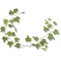 BioPlant Lierre Suspendu Petit Lierre Artificiel pour terrarium 114cm