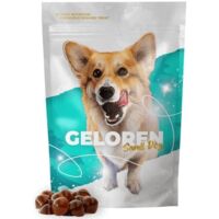 Collagène pour petits chiens GELOREN Gelées pour petits chiens 2 x 60 sachets - 180 g pour les articulations