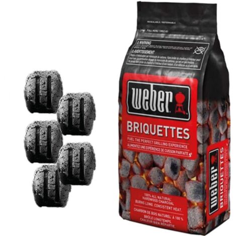 Bricchetti per bbq