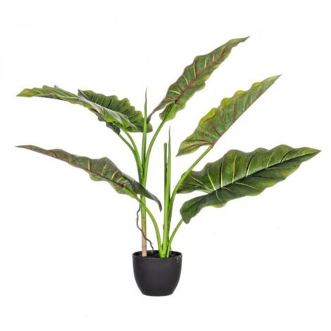 Set 4 Piante con Vaso Plastica Verde da Interno H78 cm - SERENICO (1/4)