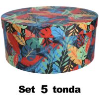 Scatola cartone 1-5 piume multicolor tondo cmø40