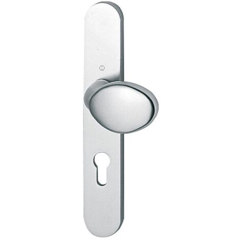 Poignée de porte palière - Verona - Hoppe Et Cie - Gris argent - Clé I - 195 mm