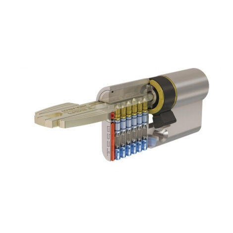 Tesa Assa Abloy – Cylindre de serrure de sûreté débrayable 40 x 40 mm – Nickelé – 5 clés – Anti-bumping et anti-vol – T65D4040N