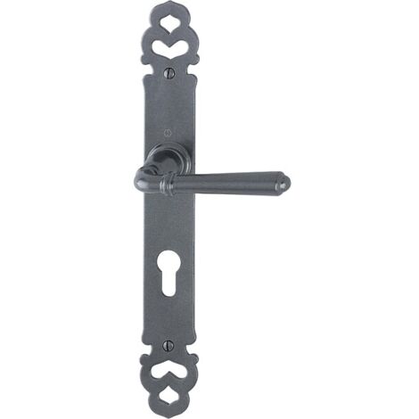 Hoppe – Ensemble sur plaque aluminium rustique type Elba clé I – Finition gris anthracite métallisé – Entraxe 195mm – Pour portes 39 à 48mm